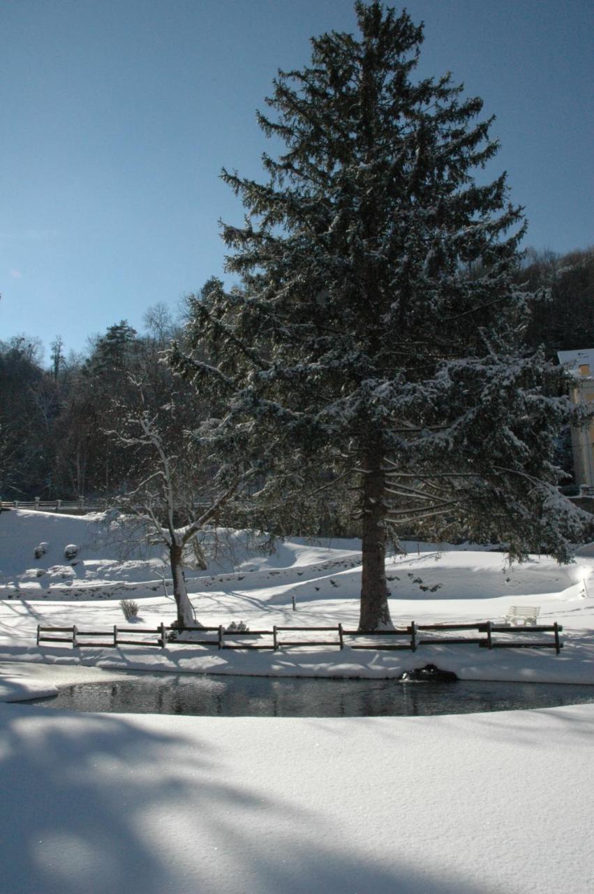 Appart Le Chili- Quartier Thermal- Parc Remarquable - Linge Fourni Luz-Saint-Sauveur Ngoại thất bức ảnh